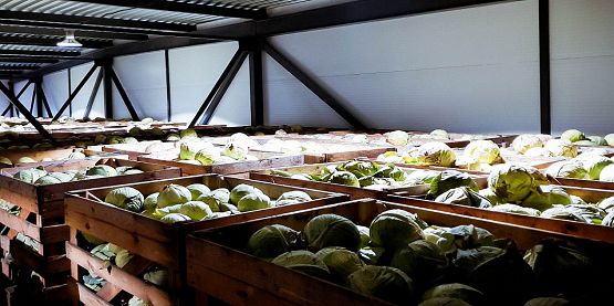  Овощехранилище в Тульской области