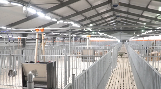 Успенский свинокомплекс