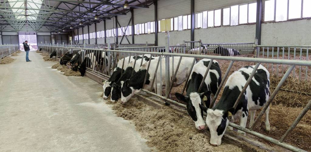 Ферма в Тульской области