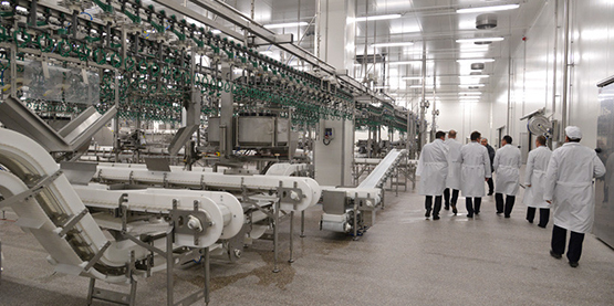 Автоматизированный комплекс «Мираторг»