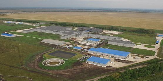 Мясохладобойня «Мираторг»